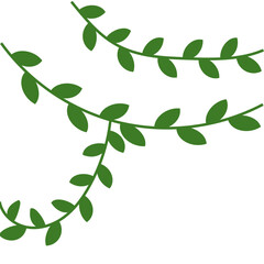 Vines Leaf Plant