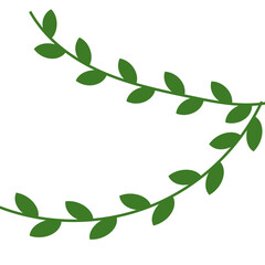 Vines Leaf Plant