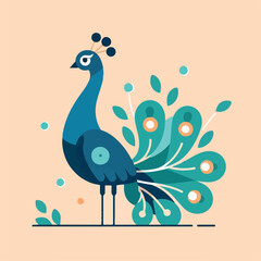vector image of beautiful peacock