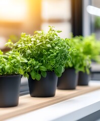 Fototapeta premium Green herb garden indoor setting photorealistic image natural light close-up plant growth concept
