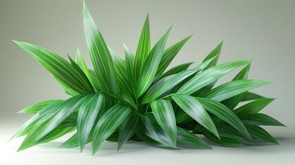 Fototapeta premium Lush Green Plant with Striking Leaf Veins