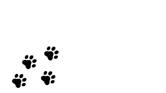 Animation a trail of black dog footprints on a white background, a dog walking forward alone on a path going from left to right.