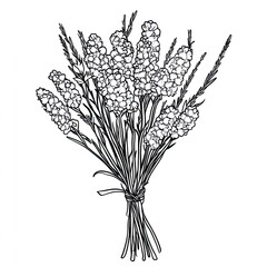 Simple Coloring Page Dried Statice Bouquet Botanical Illustration Adult Coloring Book Floral Design Easy Coloring