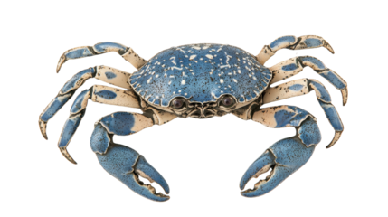A vibrant blue crab displaying intricate details and textures in its shell.