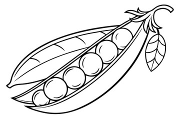Peas in Pod Vegetable Vector Line Art Illustration

