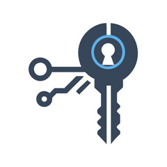 Digital Key Icon Vector. Cybersecurity and Technology Symbol Design