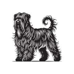 Briard Dog Silhouette - Minimalist Dog Design - Briard Dog Vector - Illustration of Briard Dog.
