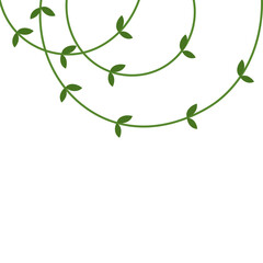 Vines Leaf Plant