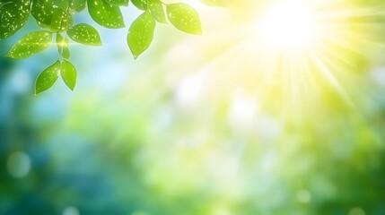 Obraz premium Bright Sunlight Through Lush Green Leaves Nature Background