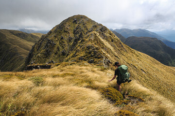 Walking in the mountains of New Zealand, Tararua Forest Park