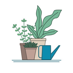House plants and watering can. Illustration on transparent background