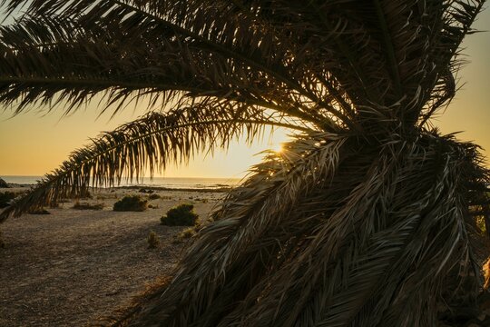 Sonnenuntergang auf Fuerteventura