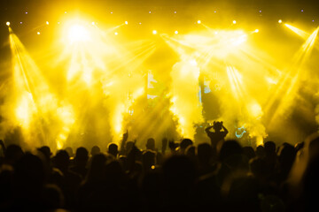 Crowd at concert and colorful stage lights.