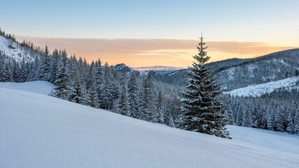 Tatry: Polana Kalatówki w mroźny, zimowy poranek przed wschodem słońca © Michal45