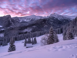 Gardinen Tatry: Polana Kalatówki w mroźny, zimowy poranek przed wschodem słońca © Michal45