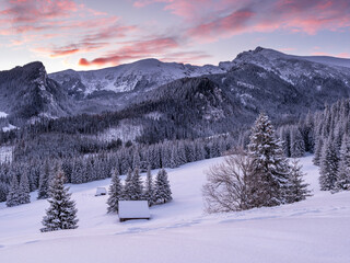 Tatry: Polana Kalatówki w mroźny, zimowy poranek przed wschodem słońca © Michal45