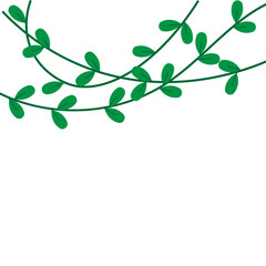 Vines Leaf Plant