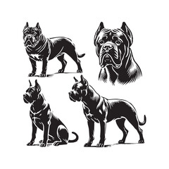 Cane Corso Dog Silhouette - Vector of Cane Corso Dog - Illustration of Cane Corso dog.