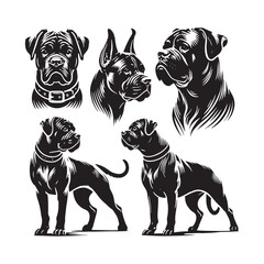 Cane Corso Dog Silhouette - Vector of Cane Corso Dog - Illustration of Cane Corso dog.