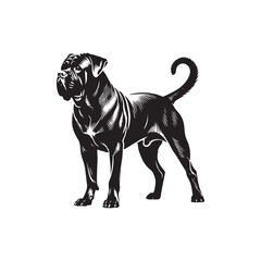 Cane Corso Dog Silhouette - Vector of Cane Corso Dog - Illustration of Cane Corso dog.