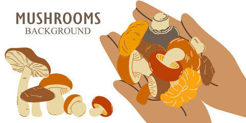 Vector background hand holding edible mushrooms. The concept of collecting and growing mushrooms.