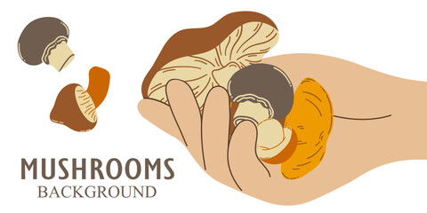 Vector background hand holding edible mushrooms. The concept of collecting and growing mushrooms.
