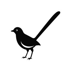 a white magpie  vector illustration