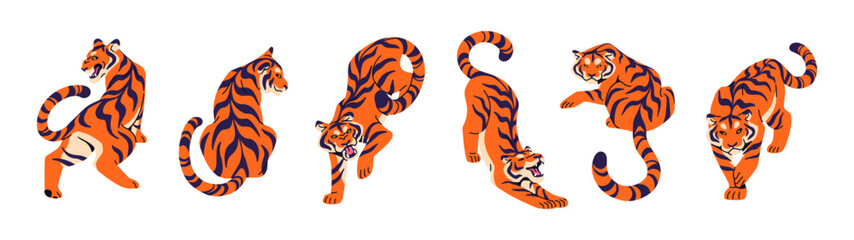 Set of Bengal or Amur tiger in different poses. Striped big cat of jungle, wild animal of rainforest. Tigris is angry, stretches, roars, bares teeth. Flat isolated vector illustrations on white