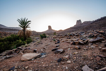 2024 03 14 Jebel Saghro Bab n Ali 5