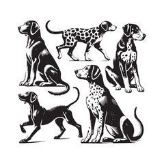 Catahoula Leopard Dog Vector - Catahoula Leopard Dog Silhouette -Illustration of Catahoula Leopard Dog