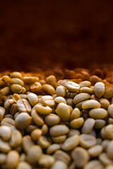 Food Series : Coffee bean background