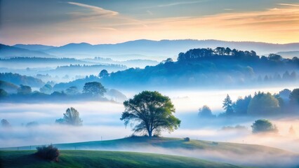 Obraz premium Serene Dawn Landscape Misty Valley with Solitary Tree on Rolling Hills