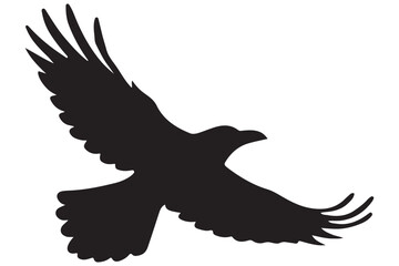 Majestic Crow Silhouette in Mid-Flight