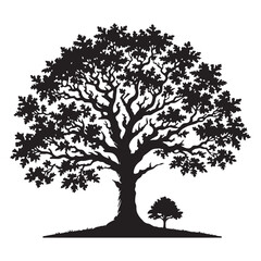 Obraz premium Mature Oak Tree with Sapling Silhouette Vector Art