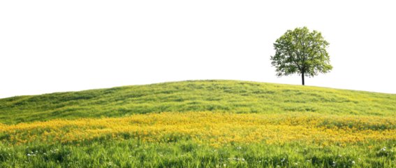 PNG Hilly spring fields landscape nature ground.