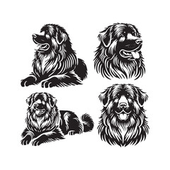 Caucasian Shepherd Dog Vector - Minimalist Caucasian Shepherd Dog Design - Caucasian Shepherd Dog Silhouette.