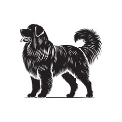 Caucasian Shepherd Dog Vector - Minimalist Caucasian Shepherd Dog Design - Caucasian Shepherd Dog Silhouette.