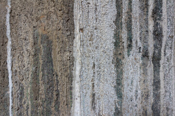 Obraz premium Rough Textured Artificial Tree Relief Made of Cement and Sand