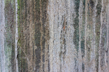 Rough Textured Artificial Tree Relief Made of Cement and Sand