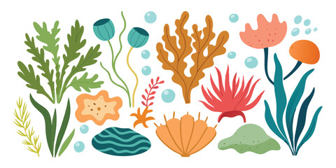 Hand-Drawn Edible Algae Illustration – Collection of Aquatic Plants