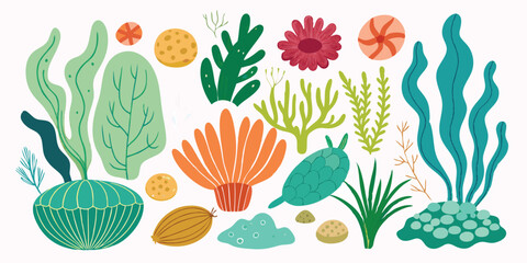 Hand-Drawn Edible Algae Illustration – Collection of Aquatic Plants