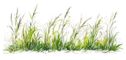 PNG Tall grass border green art illustration.