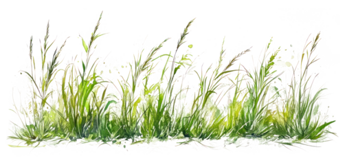 PNG Tall grass border green art illustration.