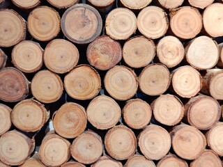 Round cutting wood for decoration 
