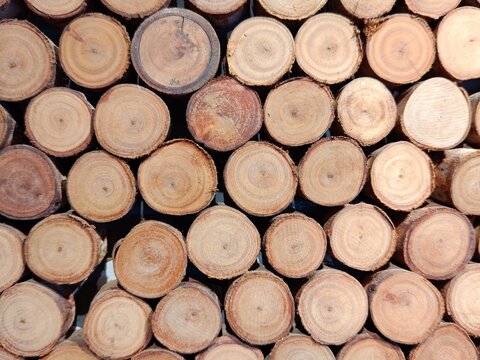 Round cutting wood for decoration 