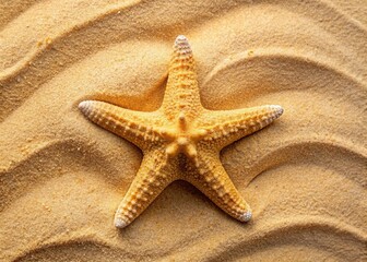 Top View Starfish on Sandy Beach - Summer Vacation Copy Space