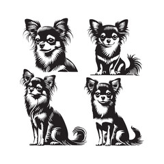 Chihuahua Dog Vector Silhouette - Chihuahua Dog Minimalist Design - Chihuahua Dog Illustration.