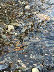river and stones