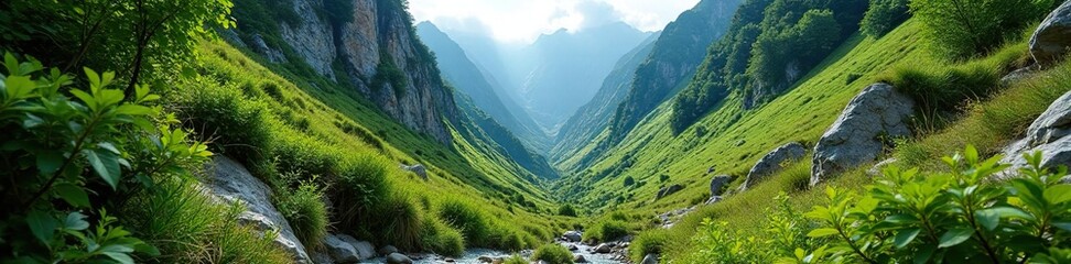 Obraz premium Overgrown vegetation in a rocky gully of the Adygea mountains, wild growth, overgrowth, mountains