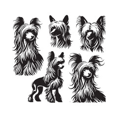 Chinese Crested Dog Vector Silhouette - Minimalist Chinese Crested Dog Design - Illustration of Chinese Crested Dog.